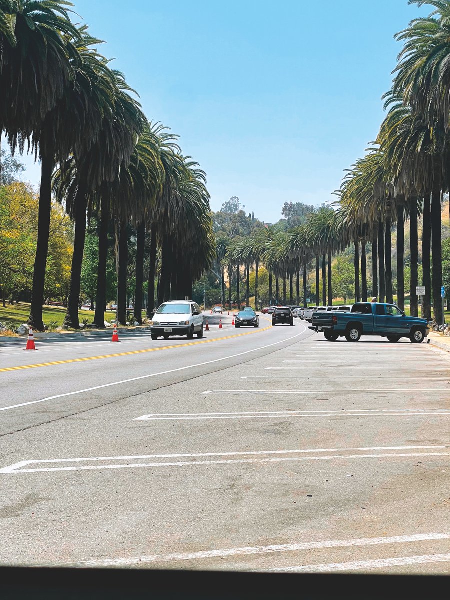a street in elysian park with palm trees and parking on either side of the street